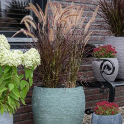 Bloempot Arizona Bullet Cypress Wash - D32 X H28.5cm - Groen -Natuur Hoek Verkoop arizona bullet cypress wash d32h285 bloempot 7 9