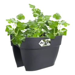 Elho Balkonbak Vibia Campana Bridge 40cm - Antraciet -Natuur Hoek Verkoop balkonbak vibia campana bridge 40cm antraciet balkonbak antraciet 3 1