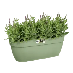 Elho Balkonbak Vibia Campana Easy Hanger Large - Pistache Groen -Natuur Hoek Verkoop balkonbak vibia campana easy hanger large pistache groen balkonbak pistache groen 4 1