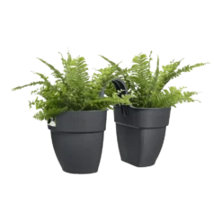 Elho Balkonbak Vibia Campana Twin 21cm - Antraciet -Natuur Hoek Verkoop balkonbak vibia campana twin 21cm antraciet balkonbak antraciet 3 1