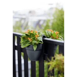 Elho Balkonbak Vibia Campana Twin 21cm - Antraciet -Natuur Hoek Verkoop balkonbak vibia campana twin 21cm antraciet balkonbak antraciet 5 1