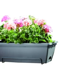 Balkonbak Elho Barcelona Allin 1 50cm - Antraciet -Natuur Hoek Verkoop barcelona allin1 50cm plantenbak antraciet 6 18