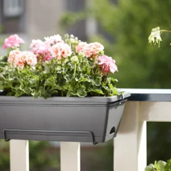 Balkonbak Elho Barcelona Allin 1 50cm - Antraciet -Natuur Hoek Verkoop barcelona allin1 50cm plantenbak antraciet 7 18