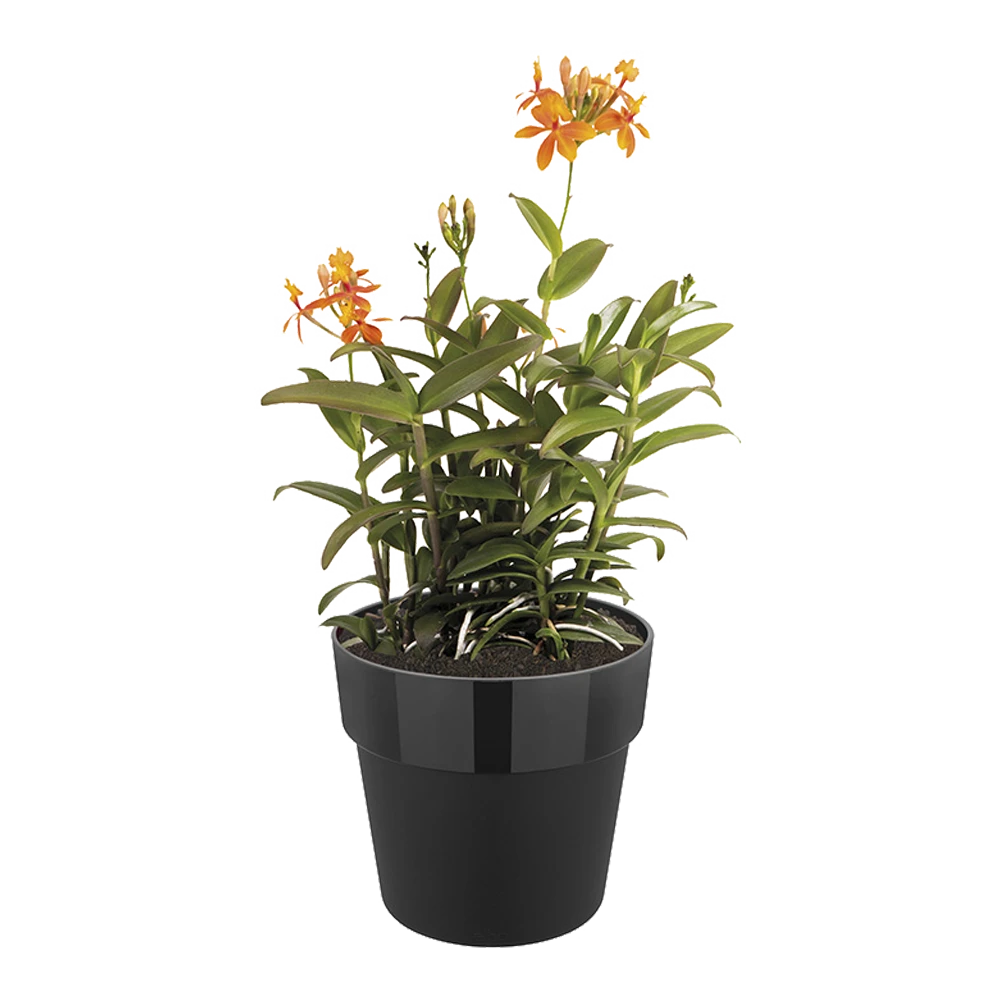 Bloempot Elho B.for Original Rond 25cm - Living Black - Afbeelding 2