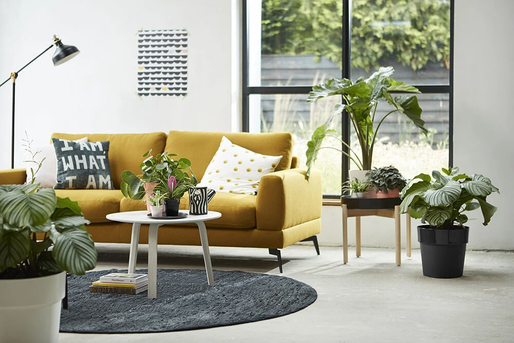 Bloempot Elho B.for Original Rond 25cm - Living Black - Afbeelding 3