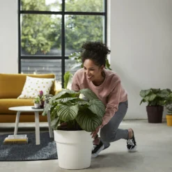 Bloempot Elho B.for Original Rond 25cm - Wit -Natuur Hoek Verkoop bfor original rond 25cm bloempot wit 7 17