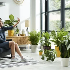 Bloempot Elho B.for Original Rond 30cm - Wit -Natuur Hoek Verkoop bfor original rond 30cm bloempot wit 6 17