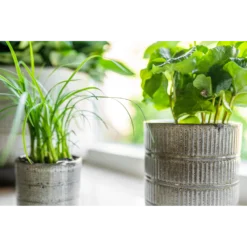 Bloempot Denise - D17 X H17cm - Off White 5 Bloempot Denise - D17 X H17cm - Off White -Natuur Hoek Verkoop bloempot denise d17 x h17cm off white bloempot 3