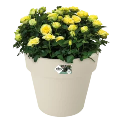 Bloempot Elho Green Basics Top Planter 47cm - Katoen Wit -Natuur Hoek Verkoop bloempot elho green basics top planter katoen wit bloempot katoen wit 3 1