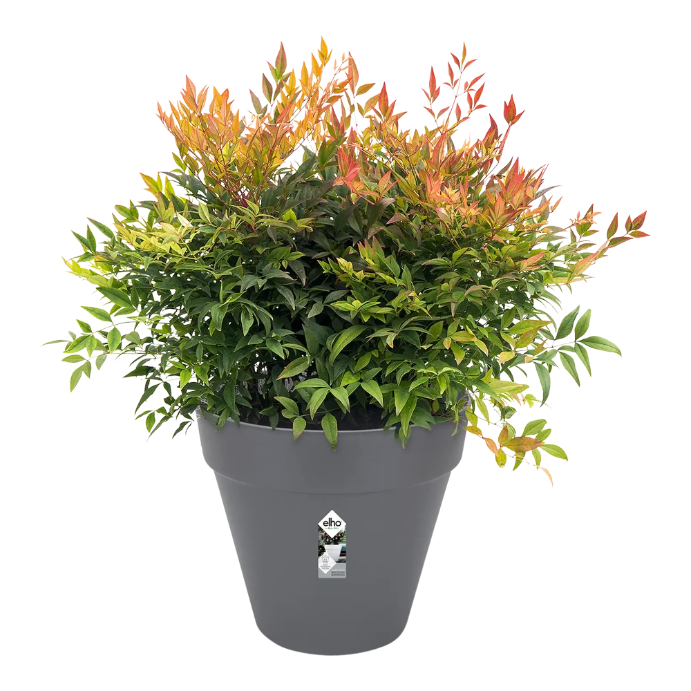 Bloempot Elho Loft Urban Rond 60cm - Antraciet 3 Bloempot Elho Loft Urban Rond 60cm - Antraciet - Afbeelding 3