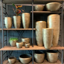 Plantenschaal Kos - D35 X H18cm - Goud -Natuur Hoek Verkoop bloempot kos serie goud bloempot 3 1 2