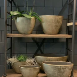 Bloempot Kos Ovaal - L35 X B16 X H19cm - Goud -Natuur Hoek Verkoop bloempot kos serie ovaal goud bloempot 3 1