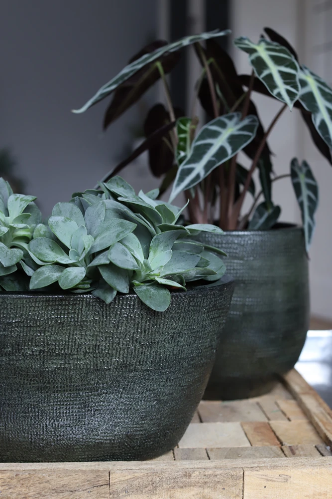 Bloempot Tokio Ovaal - L33 X B16 X H26cm - Groen 2 Bloempot Tokio Ovaal - L33 X B16 X H26cm - Groen - Afbeelding 2