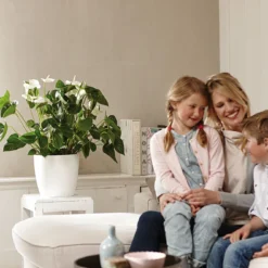 Bloempot Elho Brussels Rond 25cm - Wit -Natuur Hoek Verkoop brussels rond 25cm bloempot wit 7 20