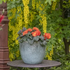 Bloempot Glazed Egg - D30 X H26cm - Groen -Natuur Hoek Verkoop glazed egg pot moss green d30h26 bloempot groen 7 6