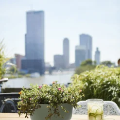 Plantenschaal Elho Greenville 33cm - Bladgroen -Natuur Hoek Verkoop greenville schaal 33cm bloempot bladgroen 6 13