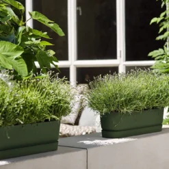 Bloembak Elho Greenville Terrace Long 50cm - Met Wielen - Bladgroen -Natuur Hoek Verkoop greenville trough long 50 plantenbak bladgroen 6 13