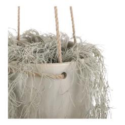 Hangpot Resa - D18,5 X H17cm - Lichtgrijs 7 Hangpot Resa - D18,5 X H17cm - Lichtgrijs -Natuur Hoek Verkoop hangpot resa d18 5 x h17cm lichtgrijs hangpot 3 1