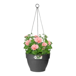 Elho Hangschaal Vibia Campana 26cm - Antraciet -Natuur Hoek Verkoop hangschaal vibia campana 26cm antraciet hangpot antraciet 3 1