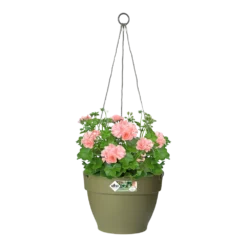 Elho Hangschaal Vibia Campana 26cm - Saliegroen -Natuur Hoek Verkoop hangschaal vibia campana 26cm saliegroen hangpot saliegroen 3 1