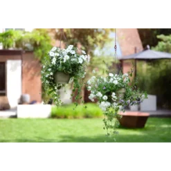 Elho Hangschaal Vibia Campana 26cm - Saliegroen -Natuur Hoek Verkoop hangschaal vibia campana 26cm saliegroen hangpot saliegroen 4 1