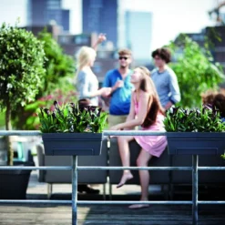 Balkonbak Elho Loft Urban 50cm - Antraciet -Natuur Hoek Verkoop loft urban balkonbak 50 plantenbak antraciet 6 13