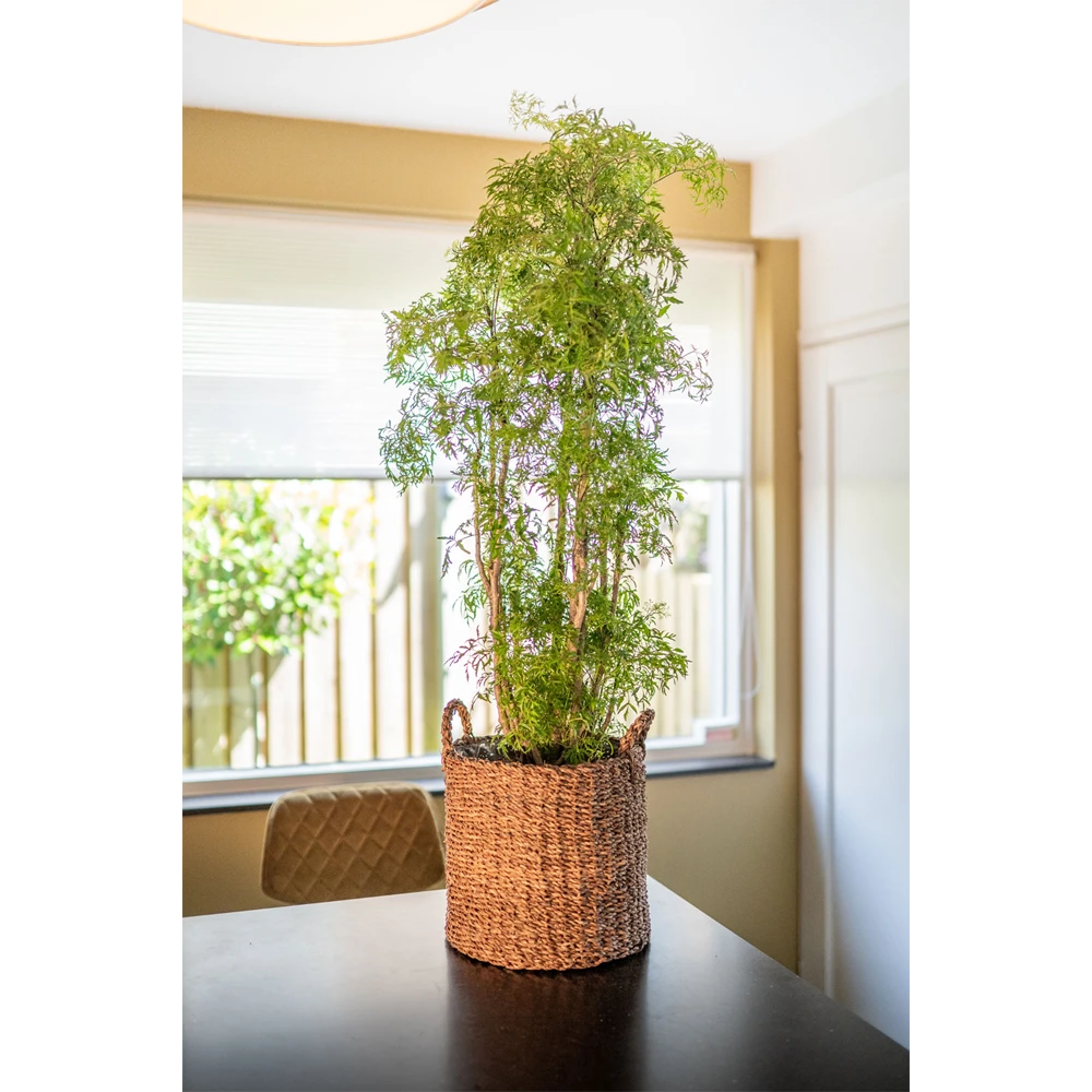 Plantenmand Joris - D38 X H33cm - Camel 2 Plantenmand Joris - D38 X H33cm - Camel - Afbeelding 2