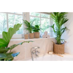 Plantenmand Joris - D33 X H31cm - Naturel 5 Plantenmand Joris - D33 X H31cm - Naturel -Natuur Hoek Verkoop plantenmand joris naturel plantenmand 3 1