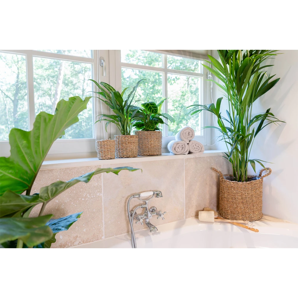 Plantenmand Joris - D33 X H31cm - Naturel 3 Plantenmand Joris - D33 X H31cm - Naturel - Afbeelding 3