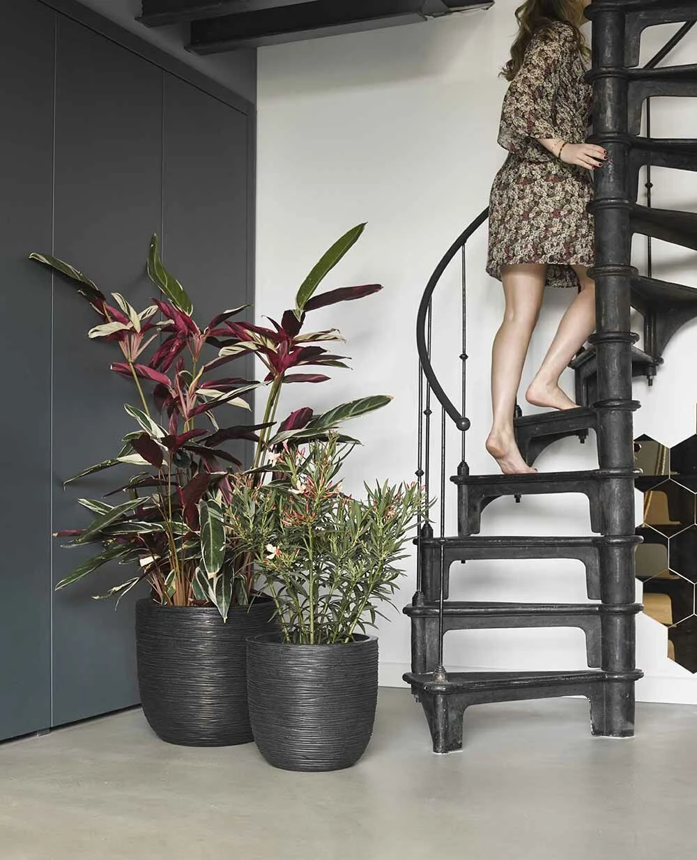 Capi Bloempot Bol Nature Rib NL - D43 X H41cm - Zwart 2 Capi Bloempot Bol Nature Rib NL - D43 X H41cm - Zwart - Afbeelding 2