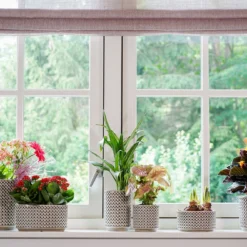 Bloempot Thies - D19 X H17cm - Olijf Groen -Natuur Hoek Verkoop pot thies olive green d19 h17 bloempot 7 9