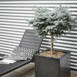 Capi Plantenbak Vierkant Lux Terrazo - L50 X B50 X H50cm - Zwart -Natuur Hoek Verkoop pot vierkant 50x50x50 zwart plantenbak 7 8