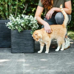 Capi Plantenbak Vierkant Nature Rib NL - L30 X B30 X H30cm - Zwart -Natuur Hoek Verkoop pot vierkant rib nl 30x30x30 zwart plantenbak 7 8