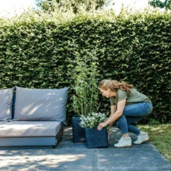 Capi Plantenbak Vierkant Nature Rib NL - L40 X B40 X H40cm - Zwart -Natuur Hoek Verkoop pot vierkant rib nl 40x40x40 zwart plantenbak 7 8