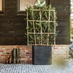 Capi Plantenbak Vierkant Nature Rib NL - L50 X B50 X H50cm - Zwart -Natuur Hoek Verkoop pot vierkant rib nl 50x50x50 zwart plantenbak 7 8