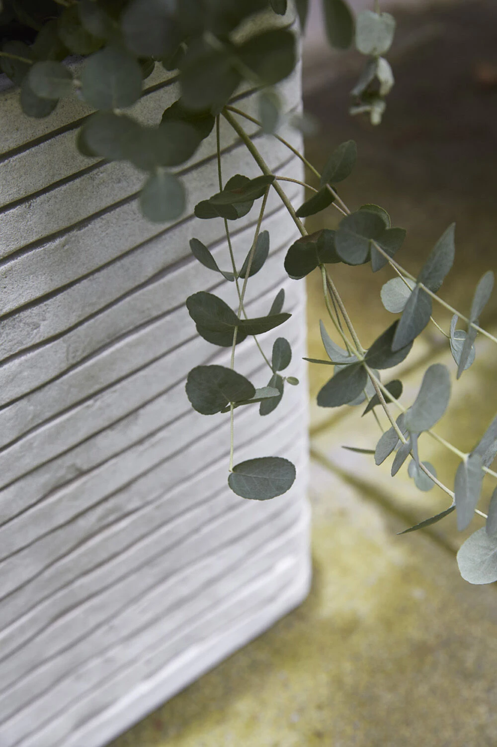 Capi Plantenbak Vierkant Nature Row NL - L40 X B40 X H40cm - Ivoor 2 Capi Plantenbak Vierkant Nature Row NL - L40 X B40 X H40cm - Ivoor - Afbeelding 2