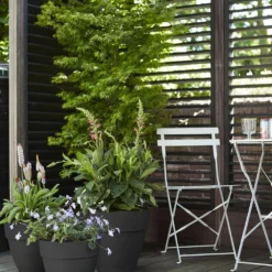 Bloempot Elho Vibia Campana Rond 55cm - Antraciet -Natuur Hoek Verkoop vibia campana rond 55 bloempot antraciet 7 11