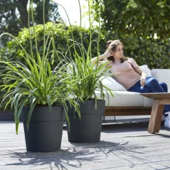 Bloempot Elho Vibia Straight Rond 30cm - Antraciet 5 Bloempot Elho Vibia Straight Rond 30cm - Antraciet -Natuur Hoek Verkoop vibia straight rond 30cm bloempot antraciet 7 11