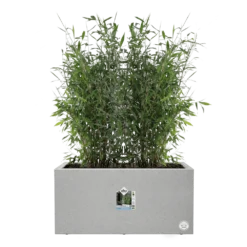 Elho Vivo Next Lang Wielen 80cm - Warm Grijs -Natuur Hoek Verkoop vivo matt lang wielen 80cm warm grijs 5 1