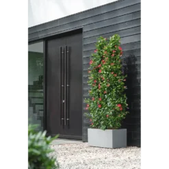 Elho Vivo Next Lang Wielen 80cm - Warm Grijs -Natuur Hoek Verkoop vivo matt lang wielen 80cm warm grijs 6 1