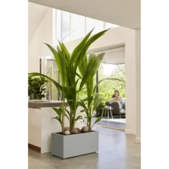 Elho Vivo Next Lang Wielen 80cm - Warm Grijs -Natuur Hoek Verkoop vivo matt lang wielen 80cm warm grijs 7 1