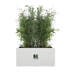 Elho Vivo Next Lang Wielen 80cm - Wit -Natuur Hoek Verkoop vivo next lang wielen 80cm wit 5 1