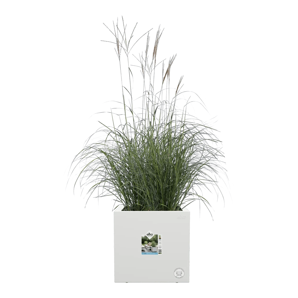 Elho Vivo Next Vierkant Wielen 40cm - Wit 5 Elho Vivo Next Vierkant Wielen 40cm - Wit - Afbeelding 5