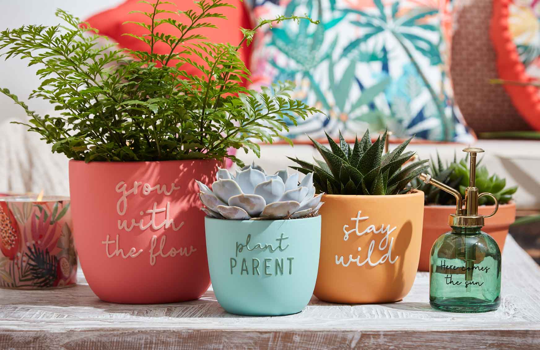 Natuur Hoek Verkoop -Natuur Hoek Verkoop super bloom pots and planters bm